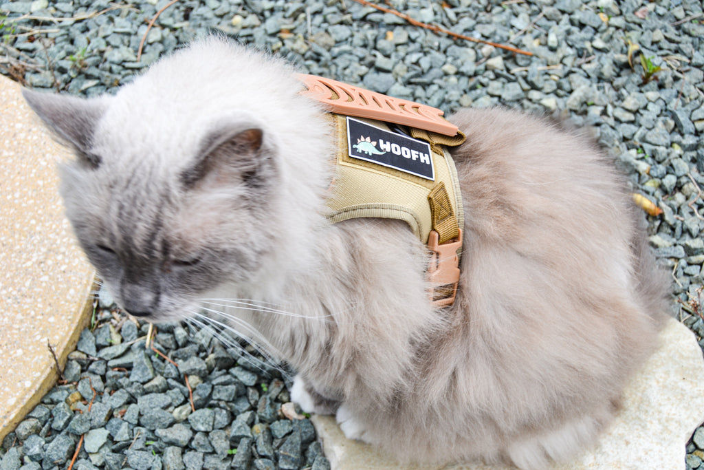 Arnés Táctico Woofh Pet-OPs