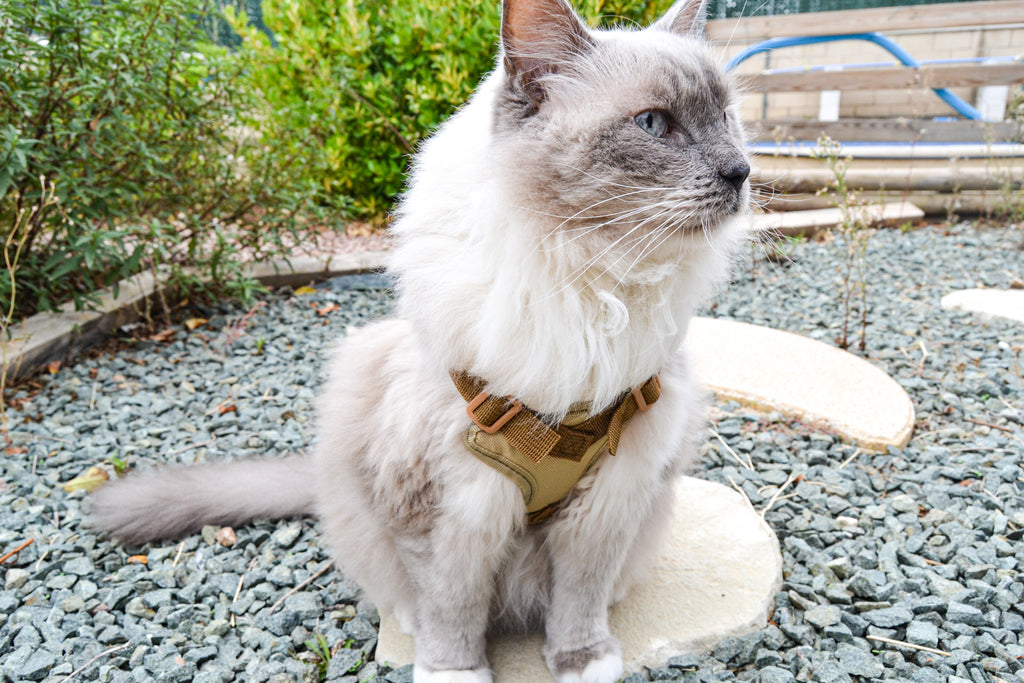 Arnés Táctico Woofh Pet-OPs