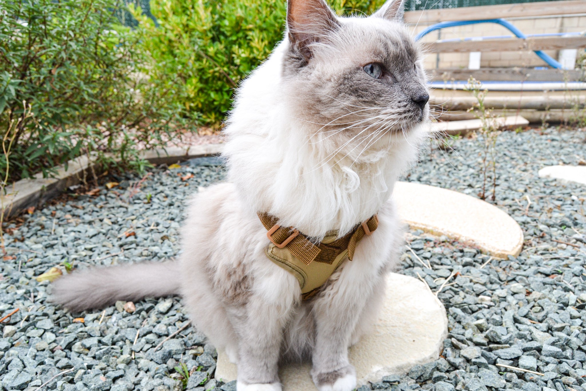 Arnés Táctico Woofh Pet-OPs