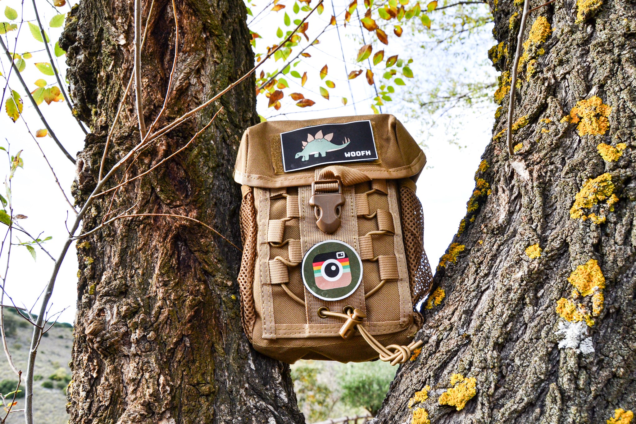 Bolsa Diáfana Woofh e-Pro