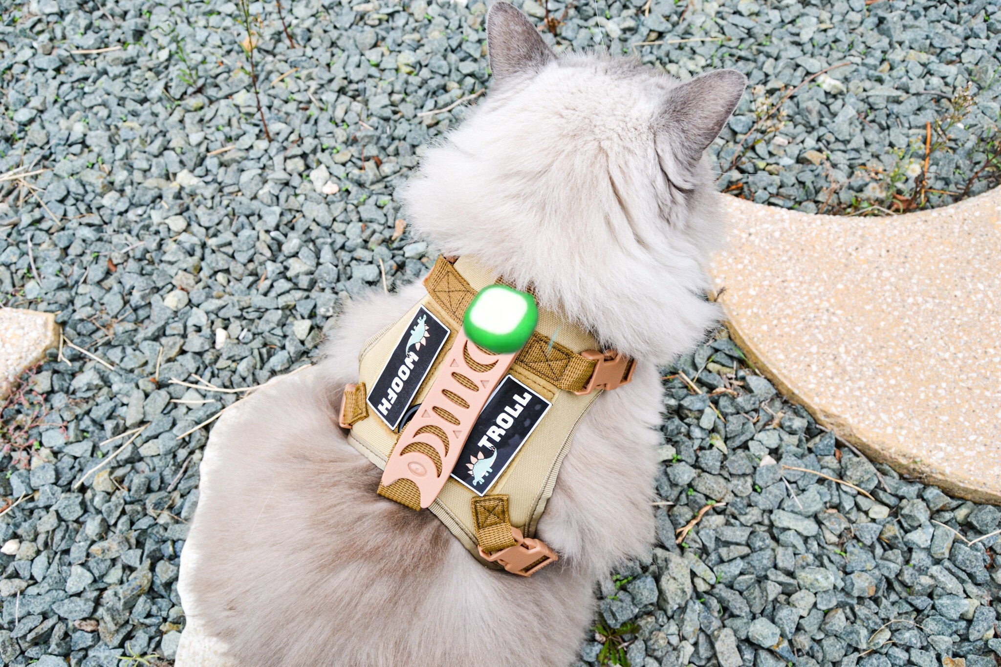 Arnés Táctico Woofh Pet-OPs